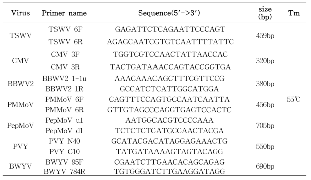 고추 감염 바이러스 유전자 진단법 확립
