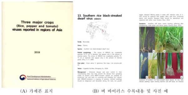 아시아 주요 작물 바이러스 소책자 가재본 표지 (A), 벼 바이러스 자료 수록내용 (B)