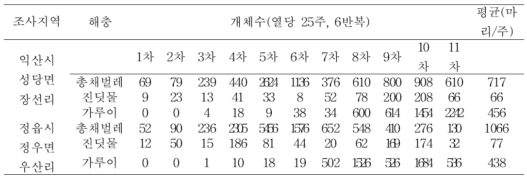 현지 포장 미소해충 트랩조사 결과(고추)