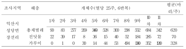 현지 포장 미소해충 트랩조사 결과(토마토)