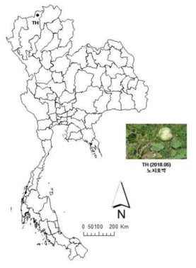 2018년 태국 담배가루이 채집지역과 채집된 기주식물 정보