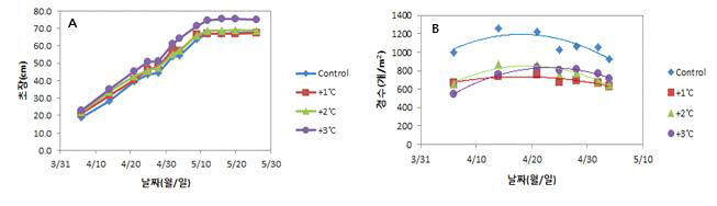 온도상승에 따른 시기별 초장(A), 경수(B) 변화