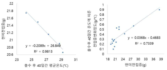 Correlation of mean temperature during ripening stage with 1000 brown rice weight, correlation of 1000 brown rice weight with brown weight change