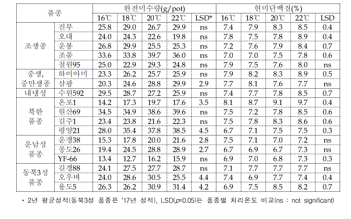 벼 등숙기간 중 평균기온에 따른 품종별 완전미수량 및 현미단백질