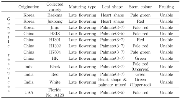 Maturing type, shape character and fruiting capability of kenaf genetic resources