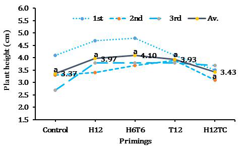 Plant height of kenaf seedlings after 7 days at various treatment. The different letter shows significant difference (p<0.05) using Duncan’s Multiple Range Test. Control - Seed unprimed with HP and PEG; H12 - Hydro-priming (HP) treatment for 12 hours; H6T6 - Hydro-priming treatment for 6 hours, followed by treatment in Tiram solution for 6 hours; T12 - Treatment in Tiram solution for 12 hours; H12TC - Hydro-priming treatment for 12 hours, followed by coating with Tiram suspension. The solid line indicates the average from 1st to 3rd