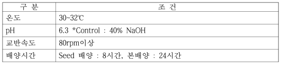 배양조건