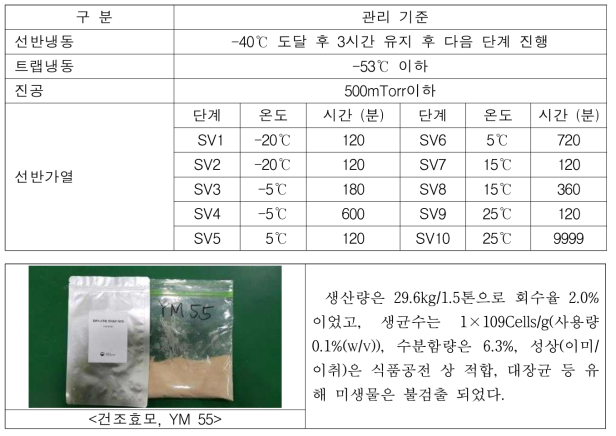 동결건조 조건