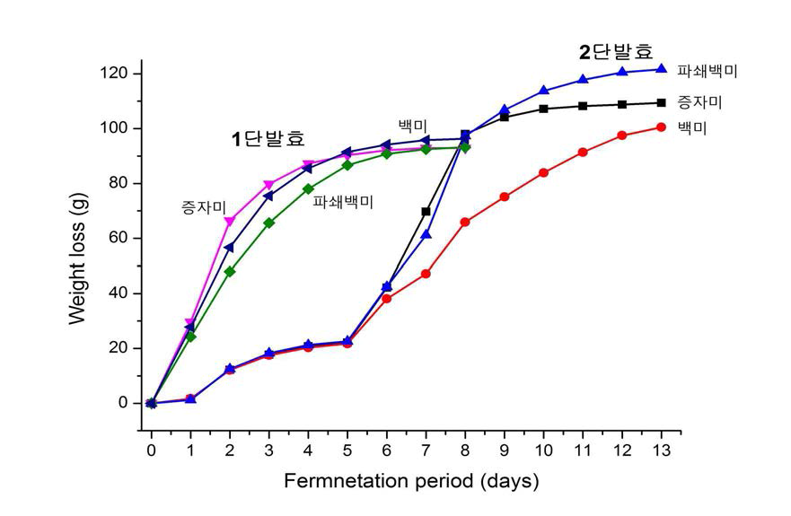 YM55균주의 생쌀발효에서의 발효기간별 중량감소