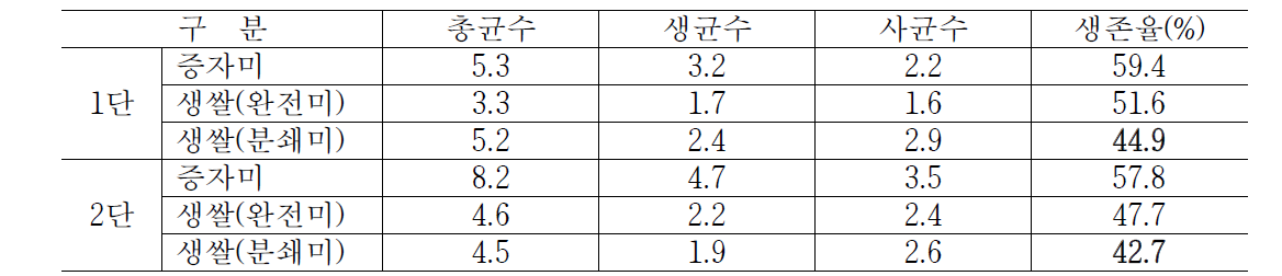 YM55균주를 이용한 생쌀술덧의 효모수(×108cells/mL)