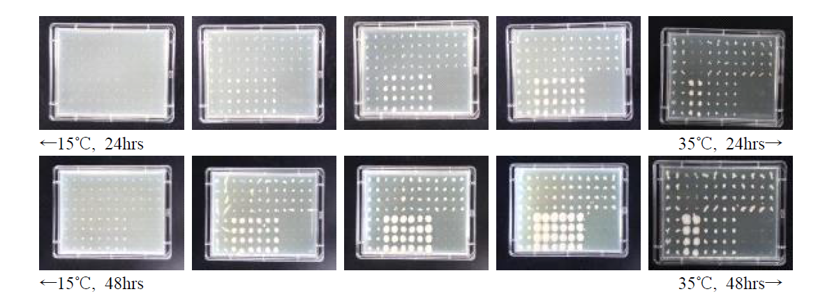 Effect of temperature on the isolated wild yeasts growth