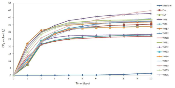 Changes in the productions of CO2 during ethanol fermentation period