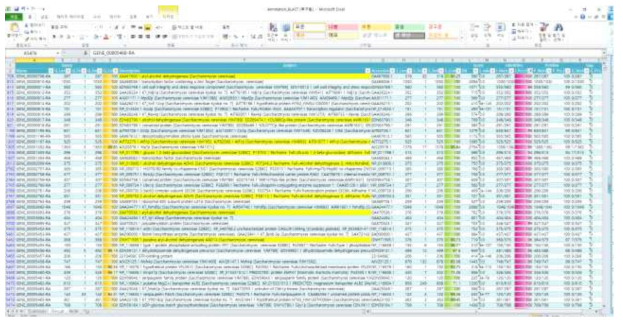 Annotation results of S. cerevisiae YM6