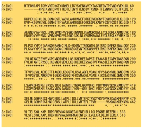 Sequence similarity of ScINO1 and PkINO1