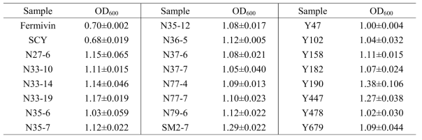 OD600 after ethanol fermentation of yeast strains