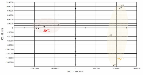 Pattern in aroma of SCY at 20℃, 25℃ during fermentation period