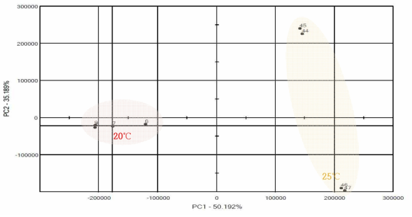 Pattern in aroma of S. cerevisiae CM4-5 at 20℃, 25℃ during fermentation period