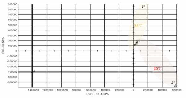 Pattern in aroma of W. anomalus Y182 at 20℃, 25℃ during fermentation period