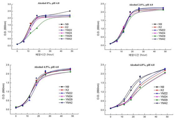 pH 4.0에서 초발알코올 농도에 따른 효모의 증식곡선