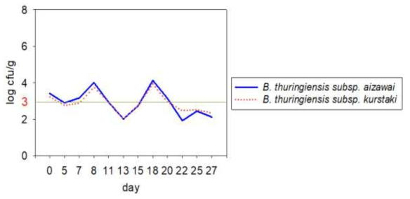 B. thuringiensis 균주의 배추에서의 생존률 조사(포장시험)