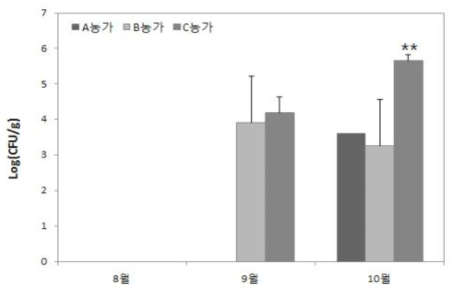 GS지역 노지재배 배추의 시기별 B.cereus 정량시험 결과