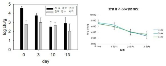 관수처리 방법에 따른 시기별 E. coli 밀도 변화(좌: 배추잎, 우: 토양)