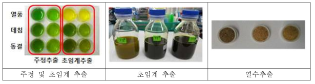 추출방법을 달리한 섬초 추출물