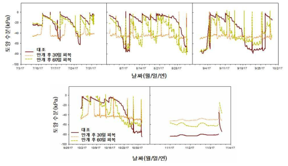 피복 시기에 따른 토양 장력(2년차). 만개일은 `17.5.15.임