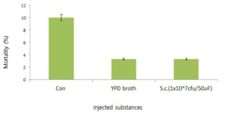 효모균의 꽃무지 유충 intracoleomic injection 시 살충율(%)