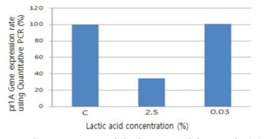 Lactic acid처리 시 Pr1A 유전자 증폭 감소(%)