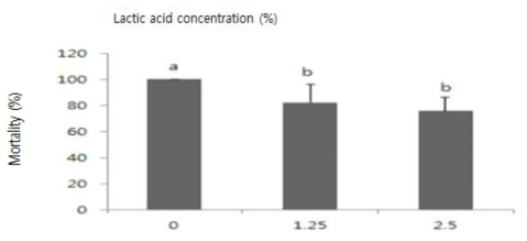 흰점박이꽃무지의 녹강균 오염 톱밥에 Lactic acid처리 시 치사율(%)