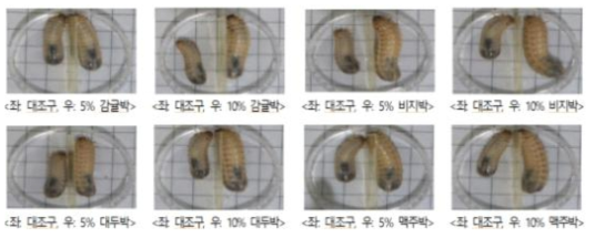 먹이원별 흰점박이꽃무지 유충 비교