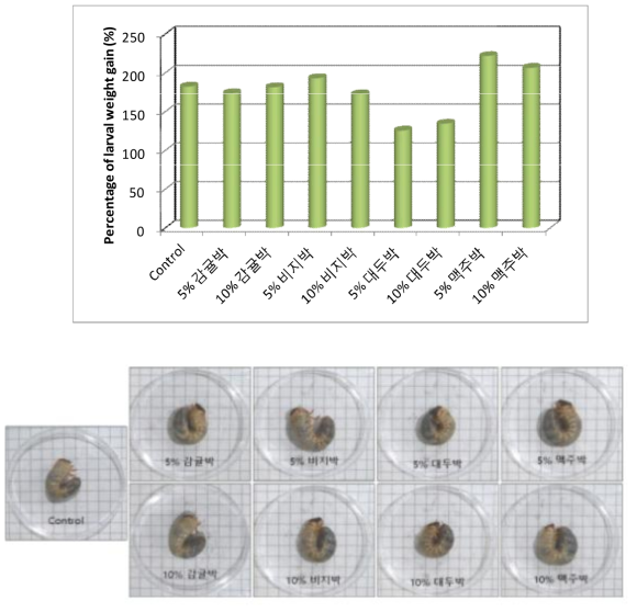 먹이원별 장수풍뎅이 유충의 증체율(%, 상) 및 유충 비교(하)