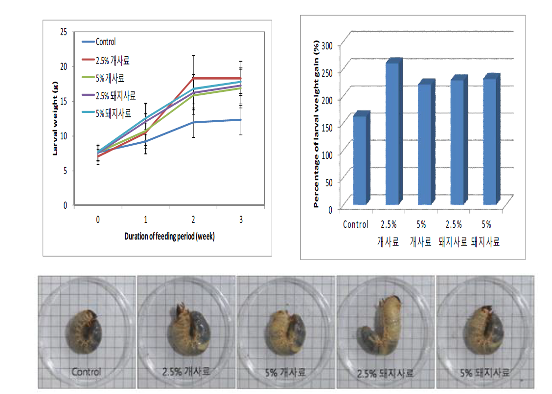 먹이원별 장수풍뎅이 유충의 체중(g, 상단 좌) 및 증체율(%, 상단 하) 및 유충 비교(하단)