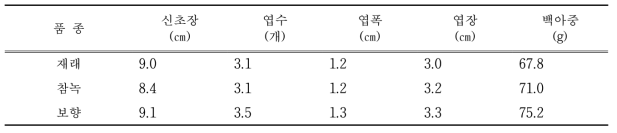 여름찻잎 품종별 찻잎 생육