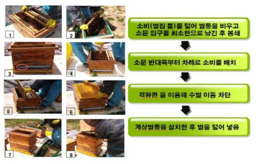 Procedure of the management of drone using upper story hive box