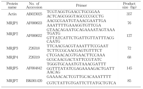 Primer sequences used for the quantitative Real-time PCR during the development of hypopharyngeal gland of the two honeybee lines and the unselected commercial line used as control