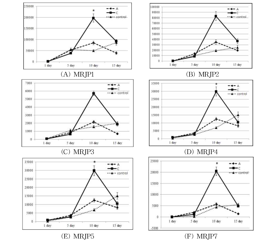 Quantitative real-time PCR analysis of major royal jelly protein (MRJP1) (A), MRJP2 (B), MRJP3 (C), MRJP4 (D), MRJP5, (E) and MRJP7 (F). Transcript alterations of MRJP1, MRJP2, MRJP3, MRJP4, MRJP5, and MRJP7. The total RNA of hypopharyngeal gland were extracted and samples were normalized with actin gene as the control housekeeping gene. Asterisks indicate statistically significant differences of the transcription level between the honeybee lines at each development stage (p<0.05)