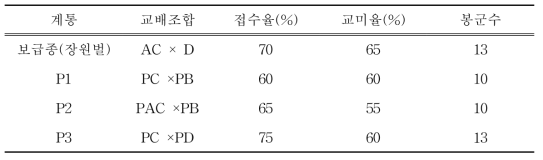 프로폴리스 다수확 계통 교배조합 생산