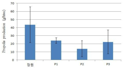 프로폴리스 함량 비교