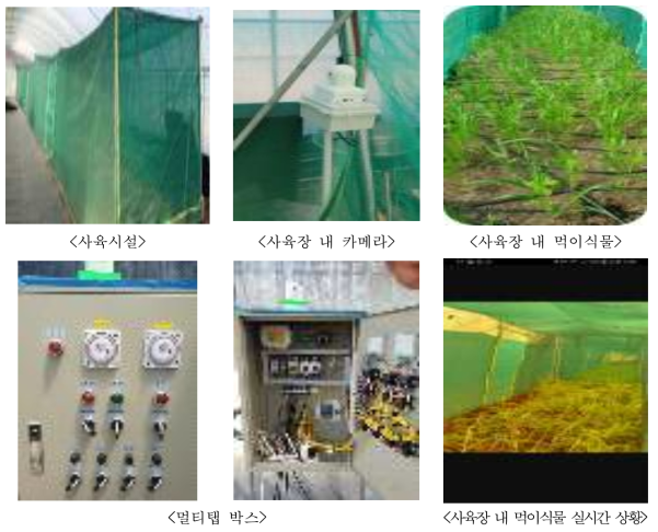 벼메뚜기 사육농가 자동화 사육시설 설치(카메라, 멀티탭박스 등)