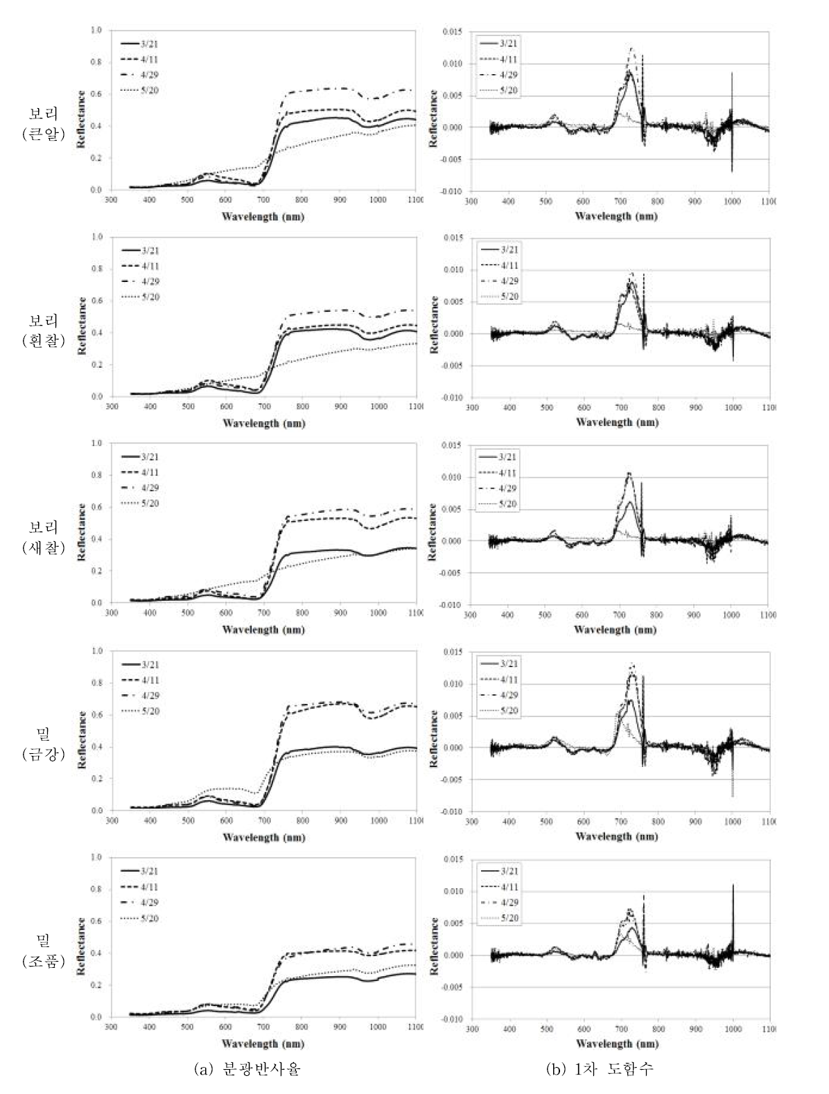 맥류 생육시기에 따른 분광반사율 및 1차 도함수 변화