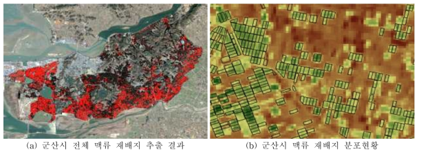 Landsat-8 위성영상을 이용한 맥류 재배현황 분포도 작성