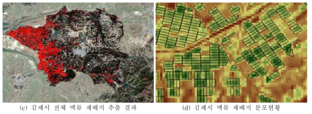 Landsat-8 위성영상을 이용한 맥류 재배현황 분포도 작성(계속)