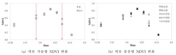 맥류 작물 및 품종별 시계열 NDVI 변화