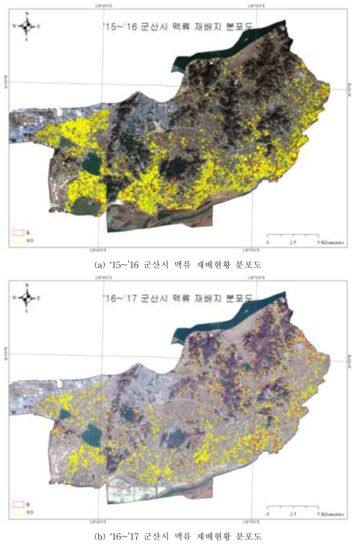 위성영상 기반 시군단위 맥류 재배현황 분포도 작성