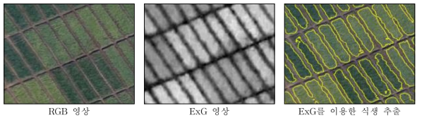 ExG를 이용한 식생 추출 결과