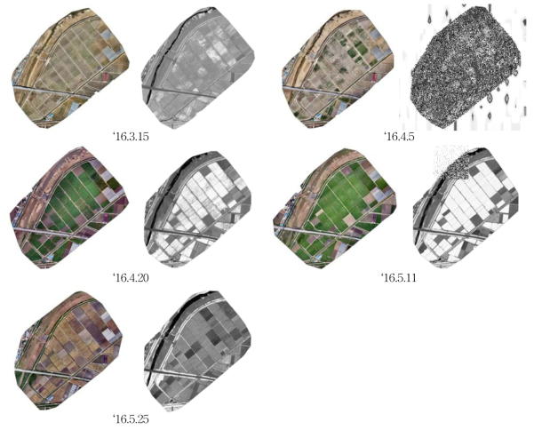 생육시기별 무인기 칼라(RGB) 합성영상 및 NDVI(논산 IRG)