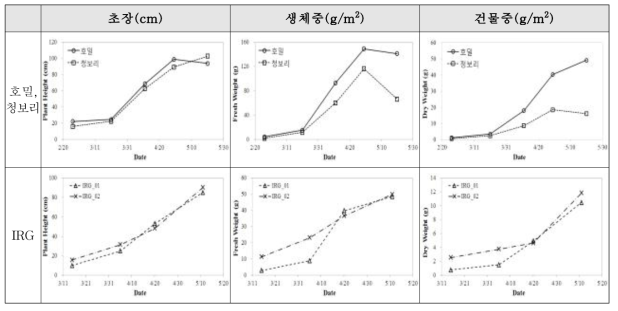 조사료 생육단계별 생육인자 변화