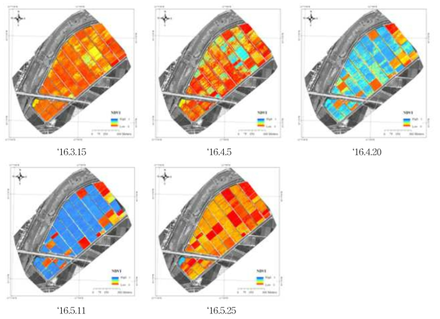무인기 기반 시계열 NDVI 변화(논산시)